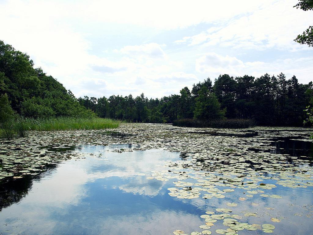 Domek Letniskowy Grazyna Villa Kopalino Exterior foto